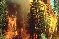 Wildfire_in_California.jpg